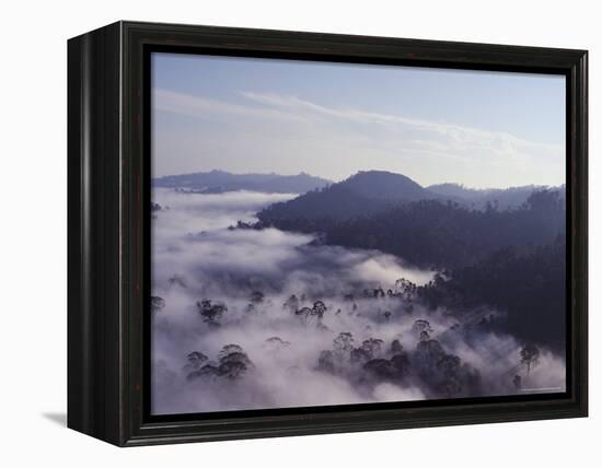 Dawn Mists Clearing Over Virgin Dipterocarp Rainforest, Danum Valley, Island of Borneo-Lousie Murray-Framed Premier Image Canvas