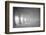 Dawn Mystery-Doug Chinnery-Framed Photographic Print