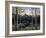 Dawn of Light-Jeff Tift-Framed Giclee Print