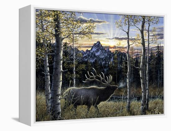 Dawn of Light-Jeff Tift-Framed Premier Image Canvas