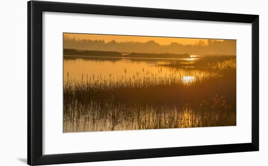 Dawn on the River Alde-Martin Wilcox-Framed Photographic Print