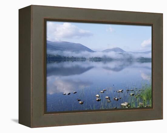 Dawn Over Loch Morlich, Cairngorms National Park, Scotland-Pete Cairns-Framed Premier Image Canvas