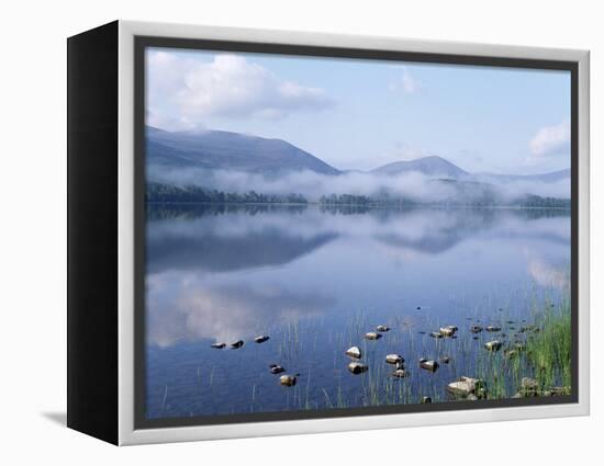 Dawn Over Loch Morlich, Cairngorms National Park, Scotland-Pete Cairns-Framed Premier Image Canvas