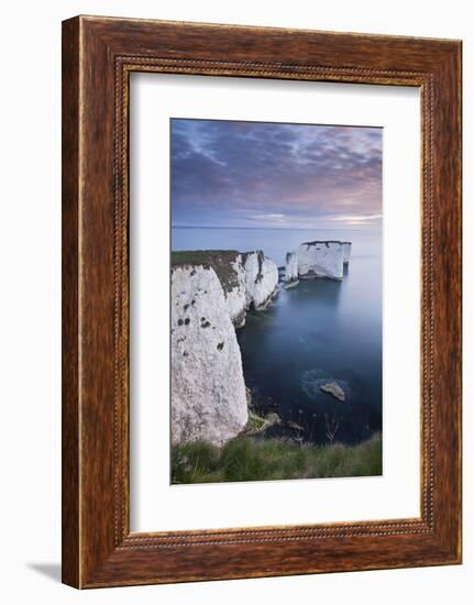 Dawn over Old Harry Rocks on the Jurassic Coast, Dorset, England. Spring-Adam Burton-Framed Photographic Print