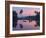 Dawn over the Backwaters, Near Alappuzha (Alleppey), Kerala, India, Asia-Stuart Black-Framed Photographic Print