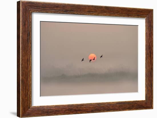 Dawn over the Marshland-Adrian Campfield-Framed Photographic Print