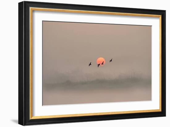 Dawn over the Marshland-Adrian Campfield-Framed Photographic Print