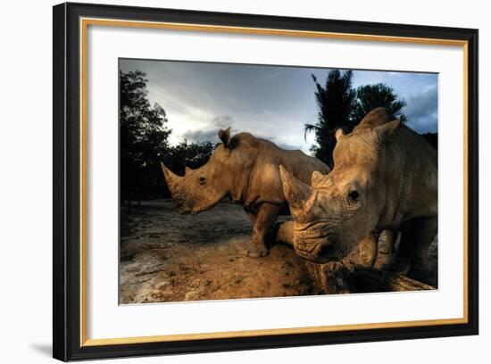 Dawn Patrol-null-Framed Premium Giclee Print