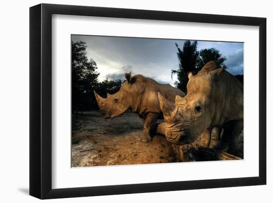 Dawn Patrol-null-Framed Art Print