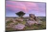 Dawn Rainbow Above Holwell Tor, Dartmoor, Devon, England. Summer (August)-Adam Burton-Mounted Photographic Print