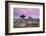 Dawn Rainbow Above Holwell Tor, Dartmoor, Devon, England. Summer (August)-Adam Burton-Framed Photographic Print