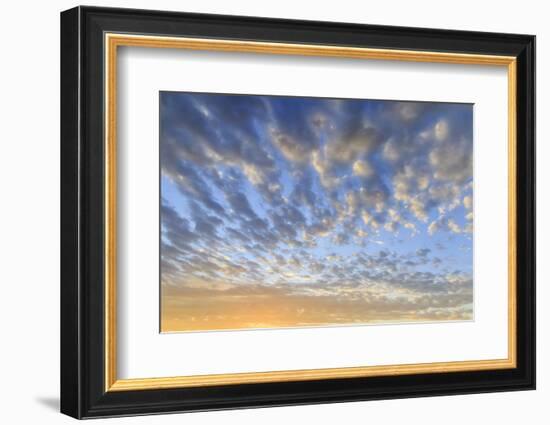 Dawn sky, Sanibel Island, Florida.-William Sutton-Framed Photographic Print