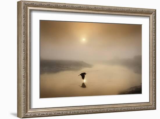 Dawn Swoop-Adrian Campfield-Framed Photographic Print