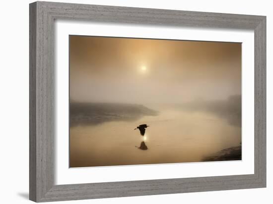 Dawn Swoop-Adrian Campfield-Framed Photographic Print