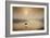 Dawn Swoop-Adrian Campfield-Framed Photographic Print
