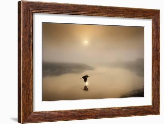 Dawn Swoop-Adrian Campfield-Framed Photographic Print