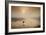 Dawn Swoop-Adrian Campfield-Framed Photographic Print