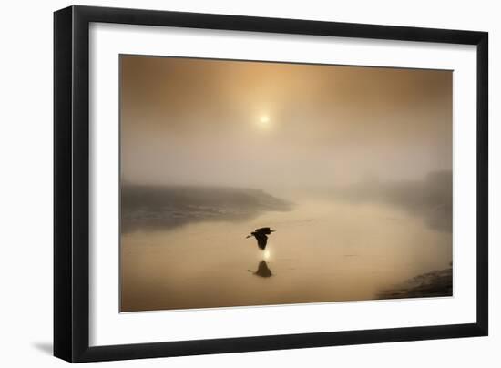 Dawn Swoop-Adrian Campfield-Framed Photographic Print