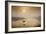 Dawn Swoop-Adrian Campfield-Framed Photographic Print