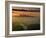 Dawn View of Downtown, Los Angeles, California, USA-Walter Bibikow-Framed Photographic Print