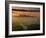 Dawn View of Downtown, Los Angeles, California, USA-Walter Bibikow-Framed Photographic Print