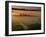 Dawn View of Downtown, Los Angeles, California, USA-Walter Bibikow-Framed Photographic Print