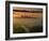 Dawn View of Downtown, Los Angeles, California, USA-Walter Bibikow-Framed Photographic Print