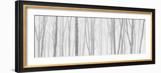 Dawn Watch-David Baker-Framed Photographic Print