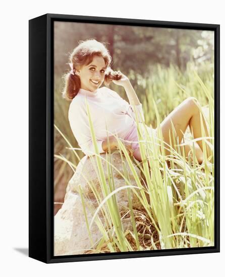 Dawn Wells - Gilligan's Island-null-Framed Stretched Canvas