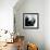 Dawn-Gabriella Roberg-Framed Giclee Print displayed on a wall