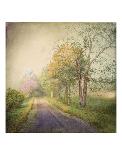 All is Calm All is Bright-Dawne Polis-Stretched Canvas