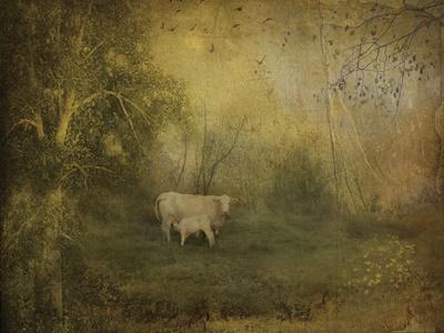 FARM COUNTRY LANDSCAPE ART PRINT 13x19 Poster Al’s Tree by Dawne Polis