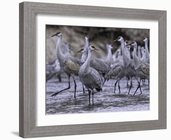 Dawning on the Platte-Wink Gaines-Framed Giclee Print