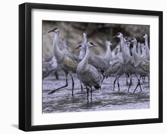 Dawning on the Platte-Wink Gaines-Framed Giclee Print