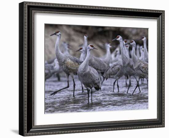 Dawning on the Platte-Wink Gaines-Framed Giclee Print