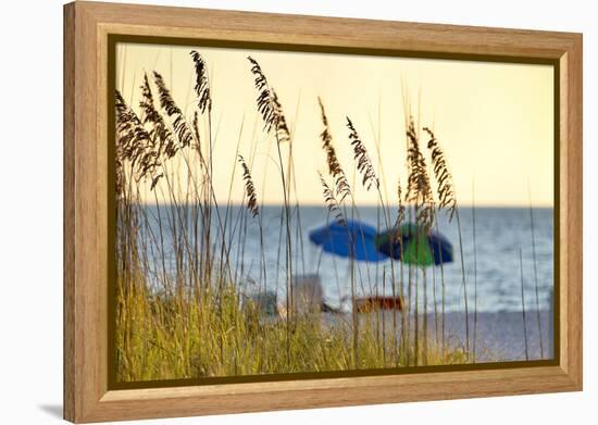 Day at the Beach Is Seen Through the Sea Oats Off the West Coast of Florida-Sheila Haddad-Framed Premier Image Canvas