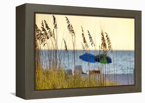 Day at the Beach Is Seen Through the Sea Oats Off the West Coast of Florida-Sheila Haddad-Framed Premier Image Canvas