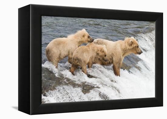 Day at the Falls-Susann Parker-Framed Premier Image Canvas