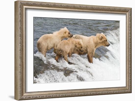 Day at the Falls-Susann Parker-Framed Photographic Print