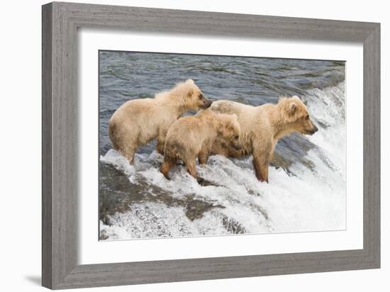 Day at the Falls-Susann Parker-Framed Photographic Print