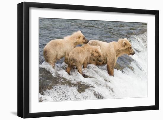 Day at the Falls-Susann Parker-Framed Photographic Print