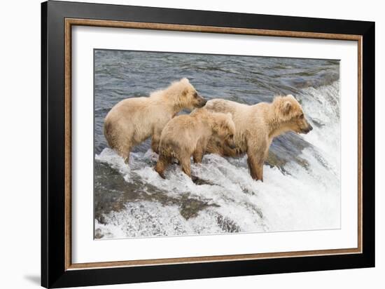 Day at the Falls-Susann Parker-Framed Photographic Print