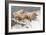 Day at the Falls-Susann Parker-Framed Photographic Print