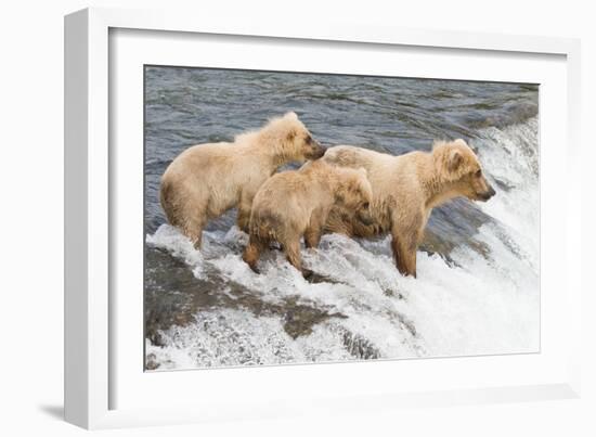 Day at the Falls-Susann Parker-Framed Photographic Print