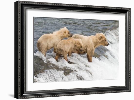 Day at the Falls-Susann Parker-Framed Photographic Print