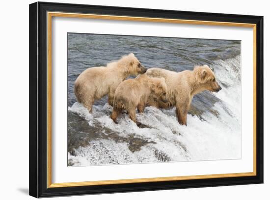 Day at the Falls-Susann Parker-Framed Photographic Print