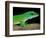 Day Gecko, Ankarana Special Reserve, Madagascar-Pete Oxford-Framed Photographic Print