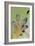 Day Gecko Close Up of Foot-null-Framed Photographic Print
