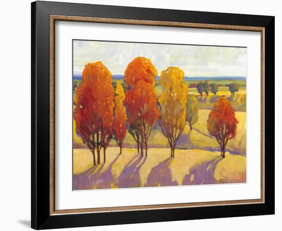 Day Glow II-Tim O'toole-Framed Art Print