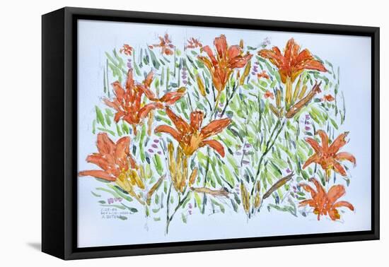 Day Lilies, 2012, (Watercolor)-Anthony Butera-Framed Premier Image Canvas